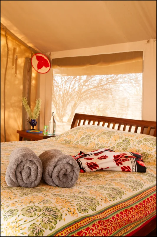 TumarenCamp-8.jpg