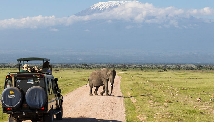 Amboseli14.jpg