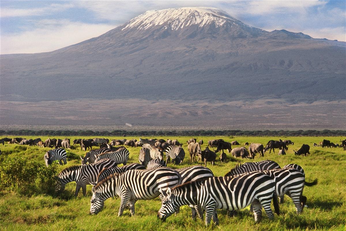 Amboseli18.jpg