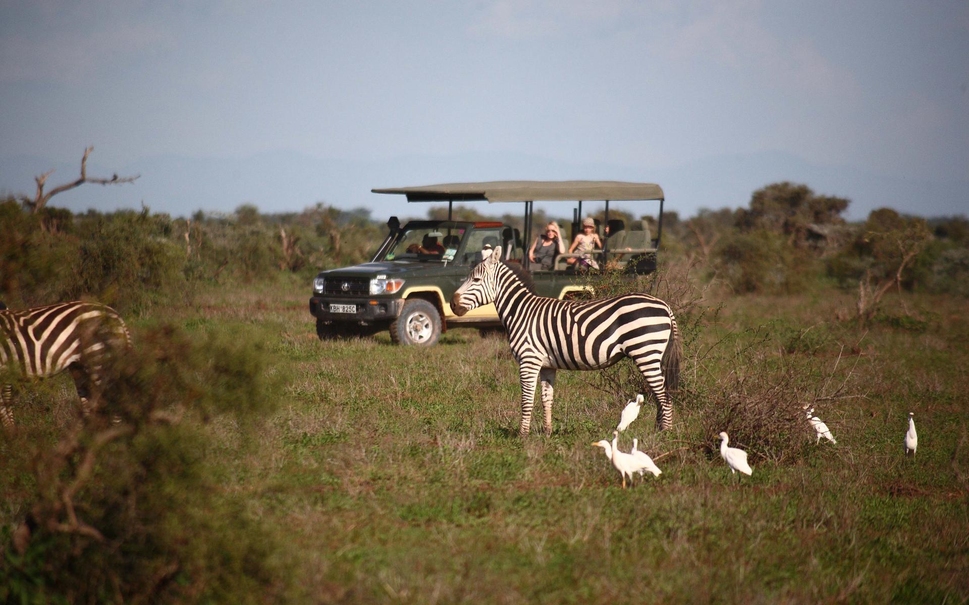 Amboseli21.jpg