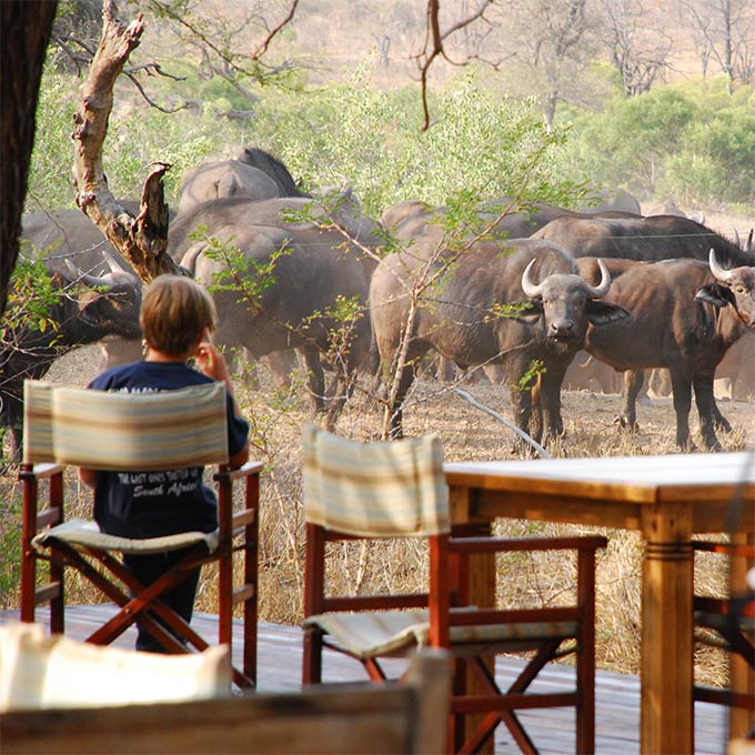 Timbavati.302.jpg