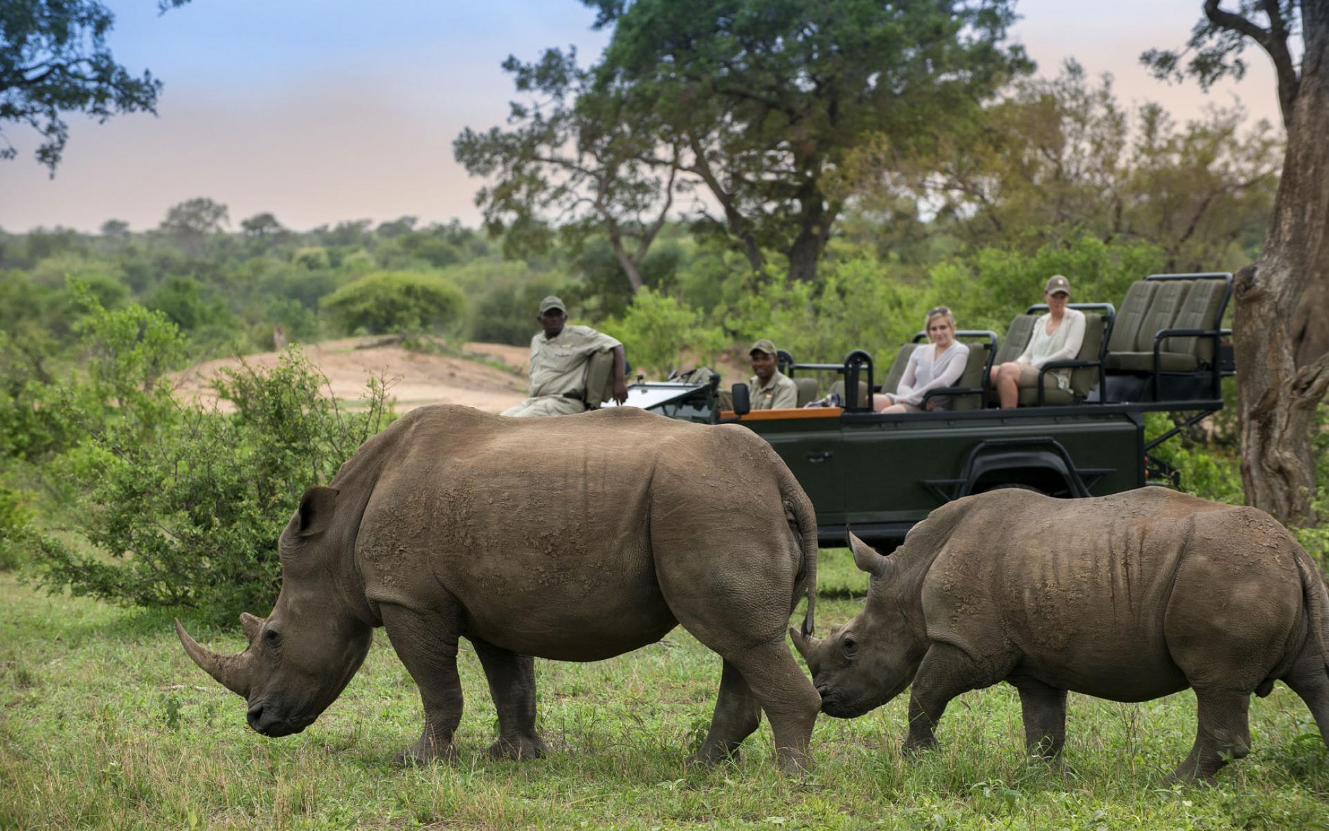 Timbavati.311.jpg