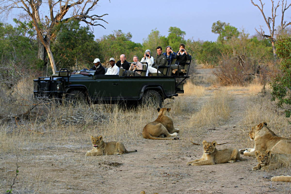 Timbavati.304.jpg