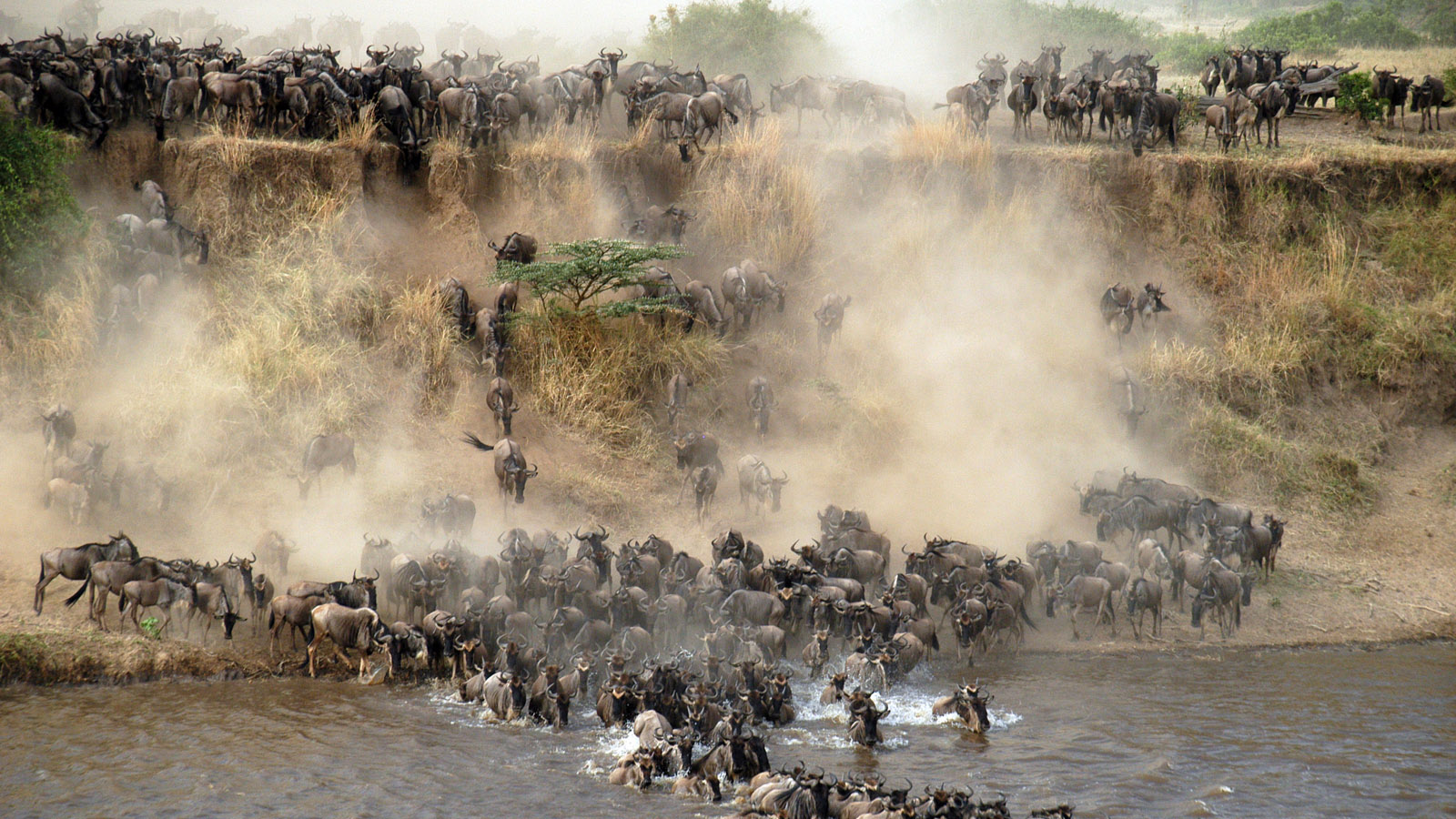 NSerengeti16.jpg