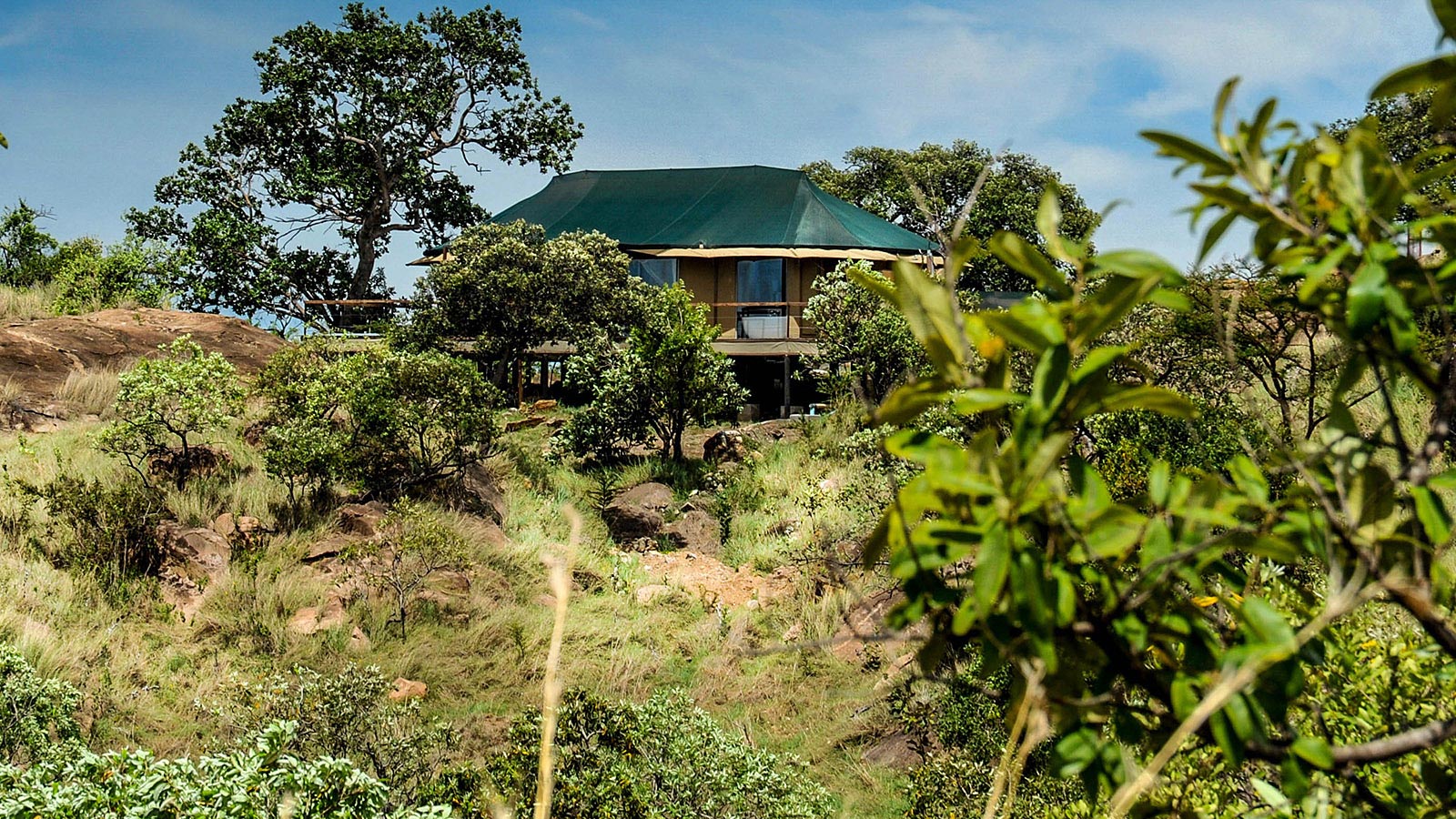 NSerengeti10.jpg