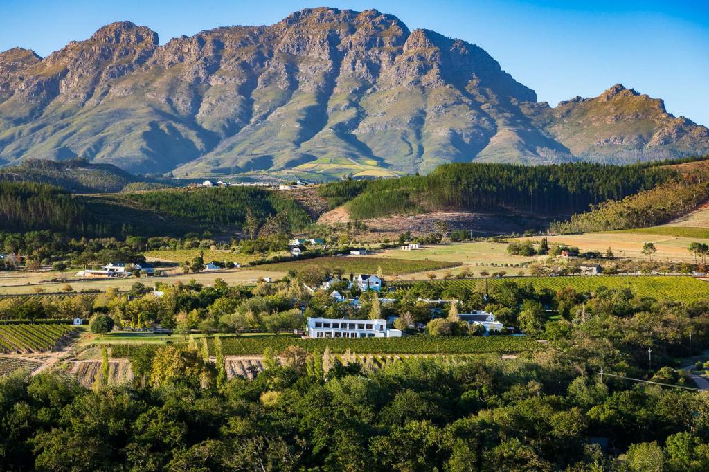 stellenbosch7.jpg