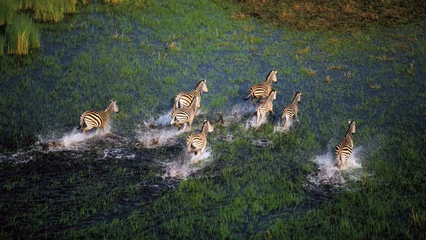 Botswana.jpg