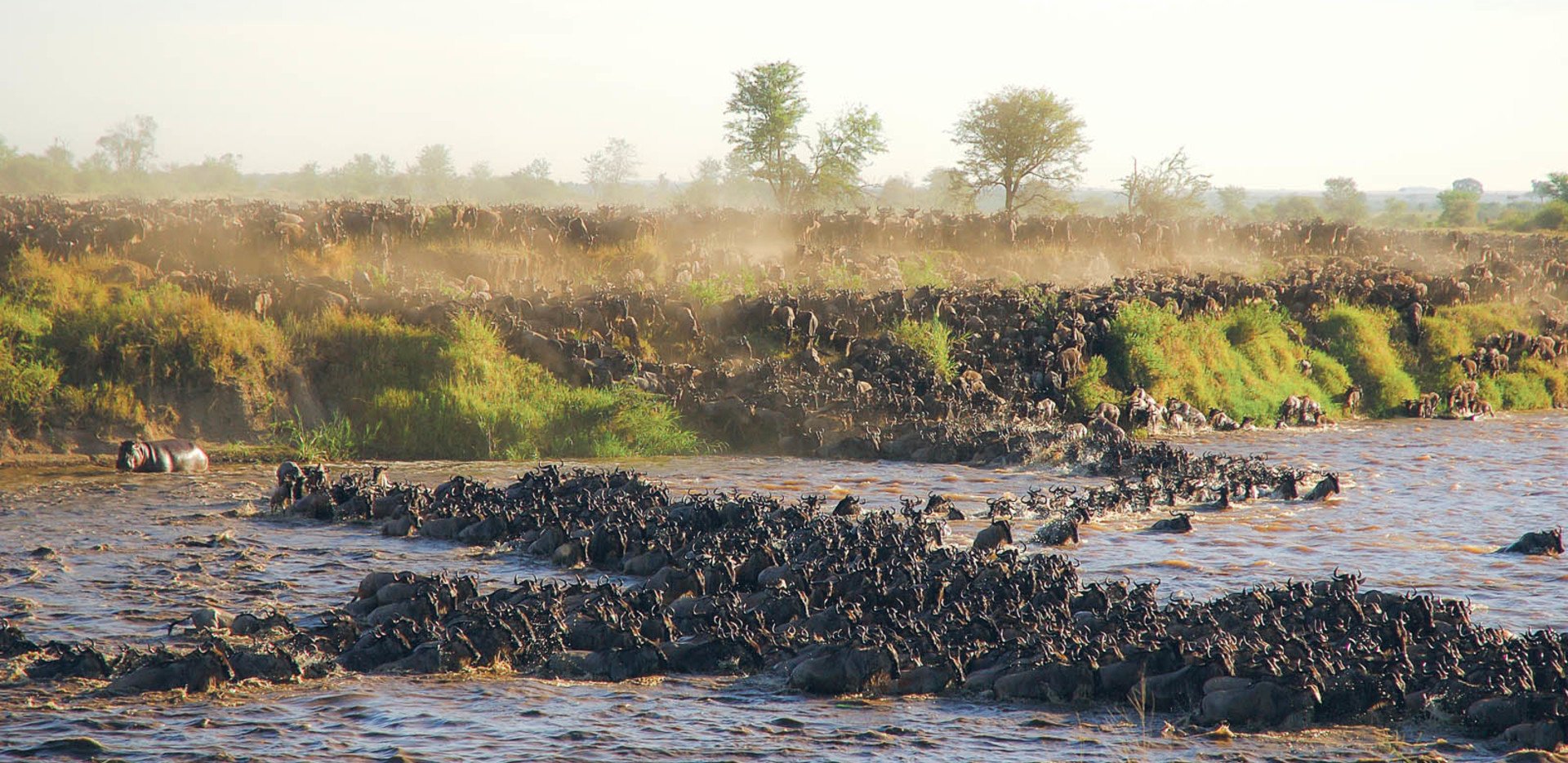 Northern Serengeti16.jpg
