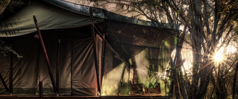 Mara camp12.png