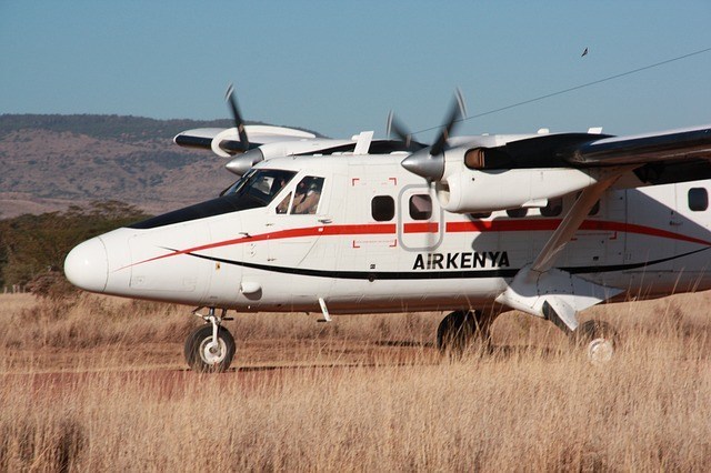mara114.jpg