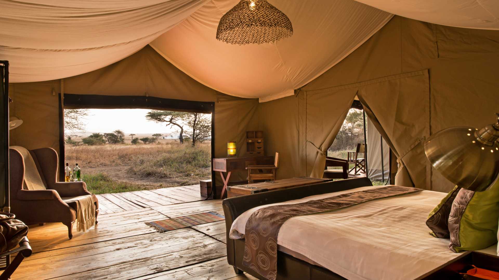 serengeti1.jpg