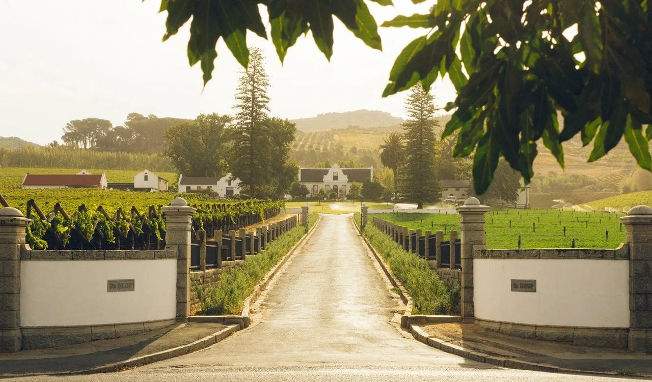 Food-Wine-Wineries-Klein-Constantia-Hillary-Fox.jpg