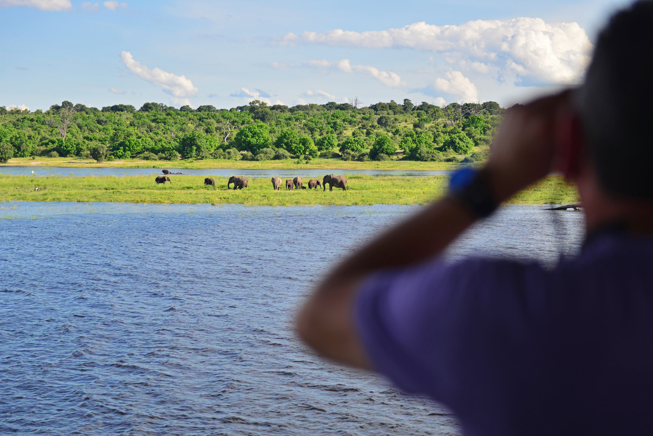 Game Viewing.jpg
