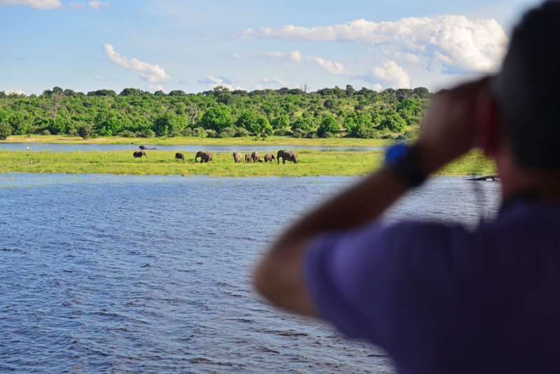 Zambezi Queen3.jpg