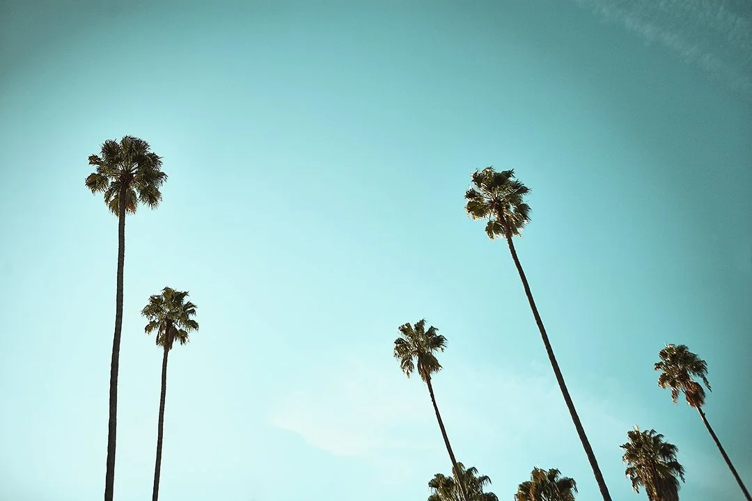 CHARLOTTE BRESSON CALIFORNIA DREAMIN'-16.jpg