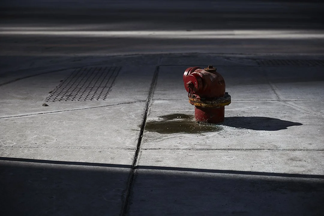 CHARLOTTE BRESSON-CHICAGO BLUES-01.jpg