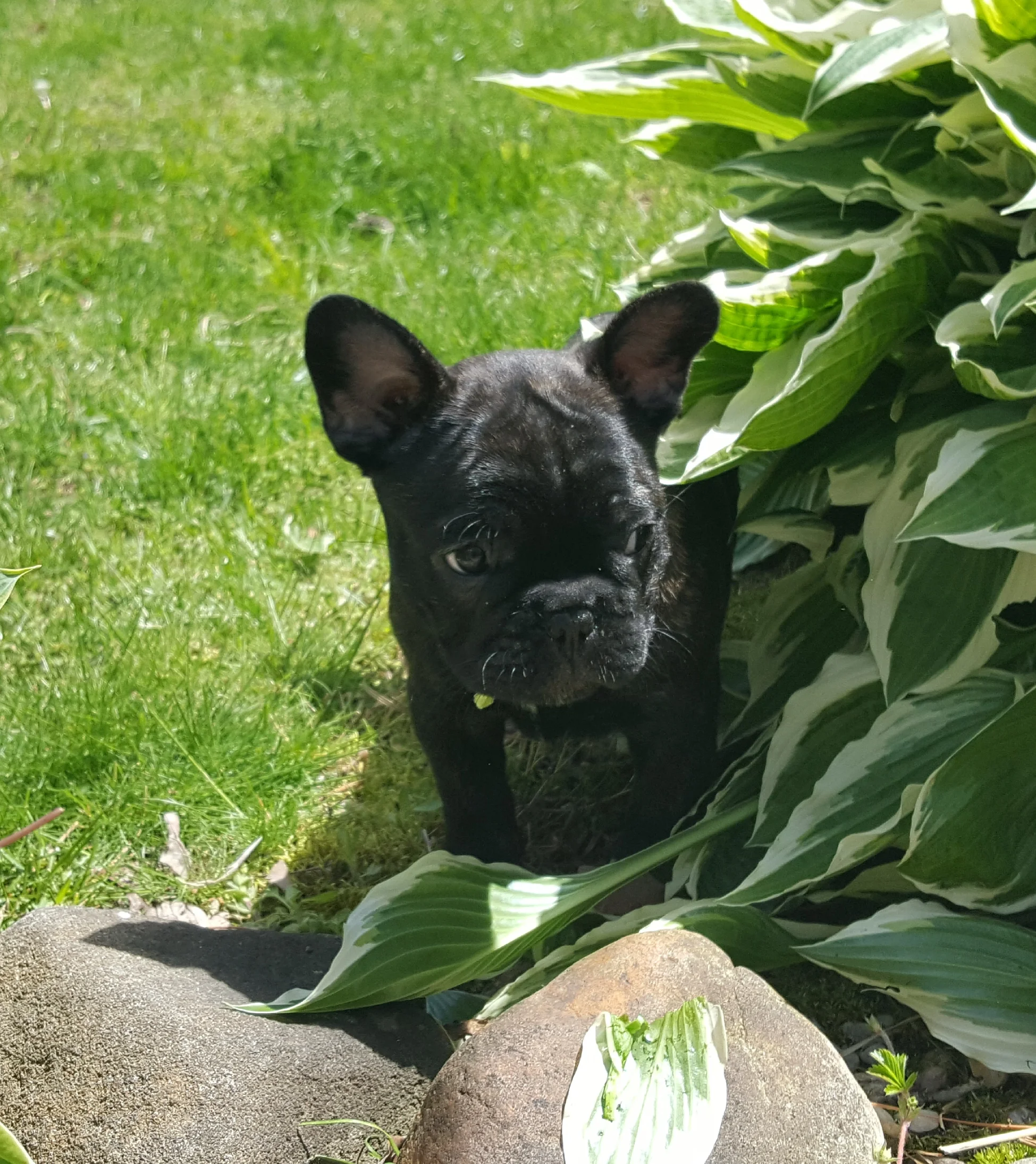 20170509_051749.jpg