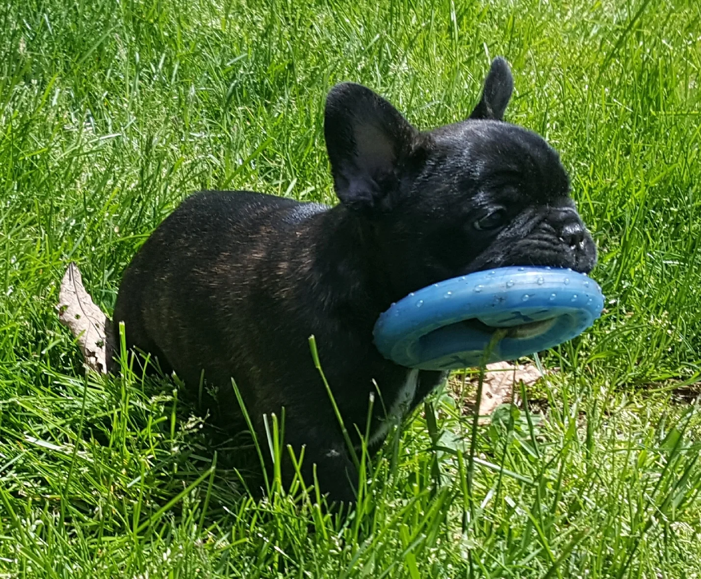20170509_050656.jpg