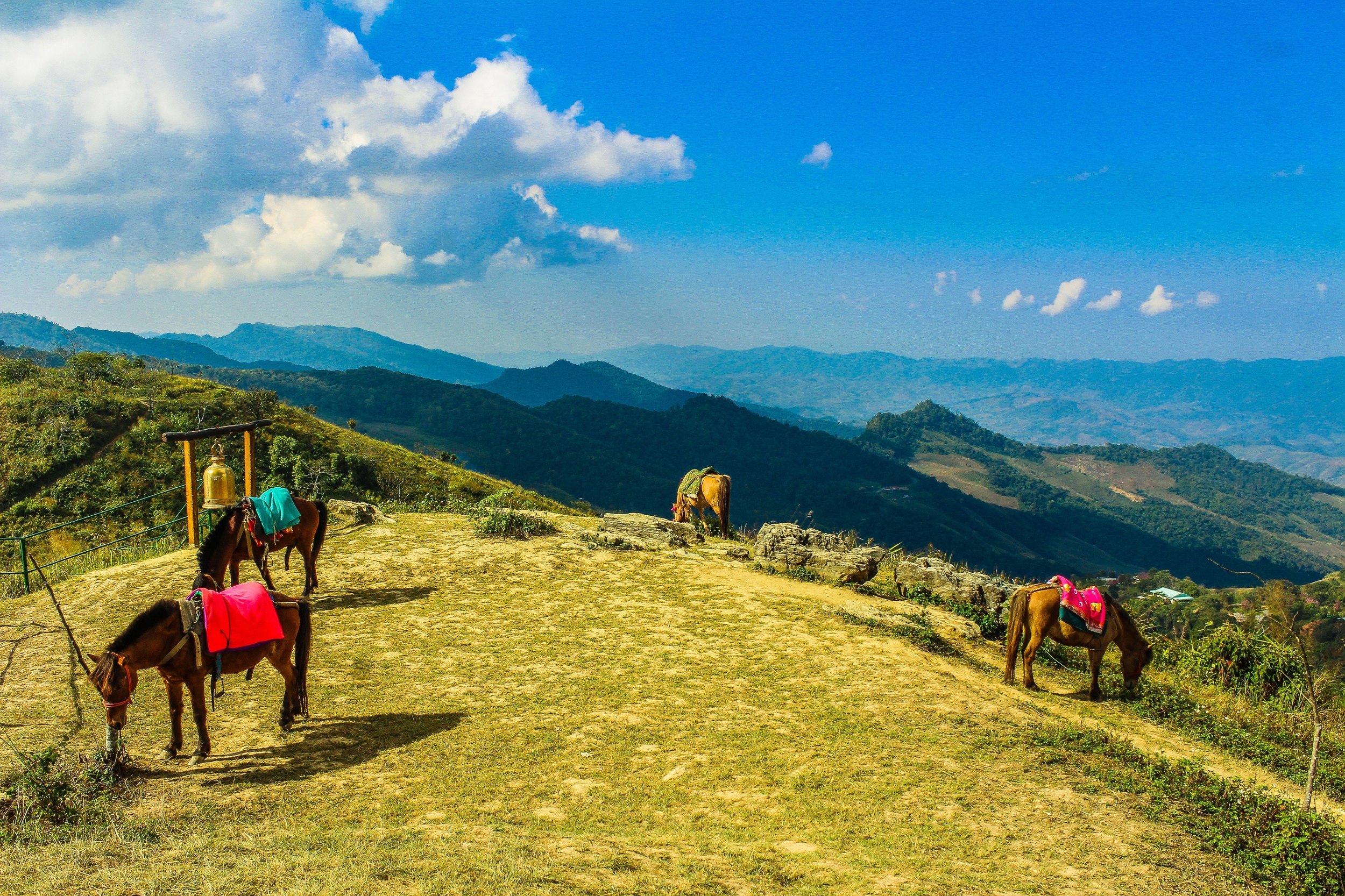 Breathtaking Views of the Mountains