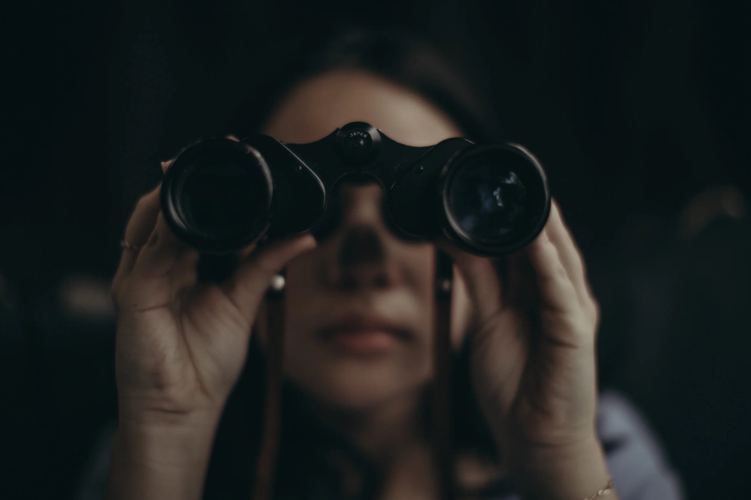 For The Fickle : Behind The Scenes