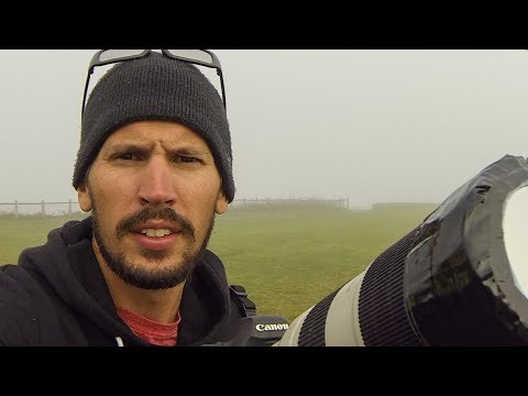 Landscape Photography: A foggy Solar Eclipse (Copy)