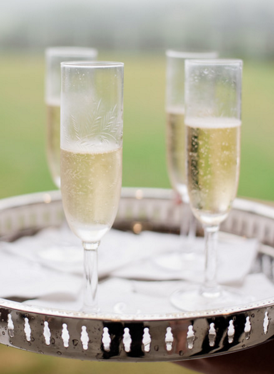 Wedding Champagne Toast | Spring Texas Vineyard Wedding