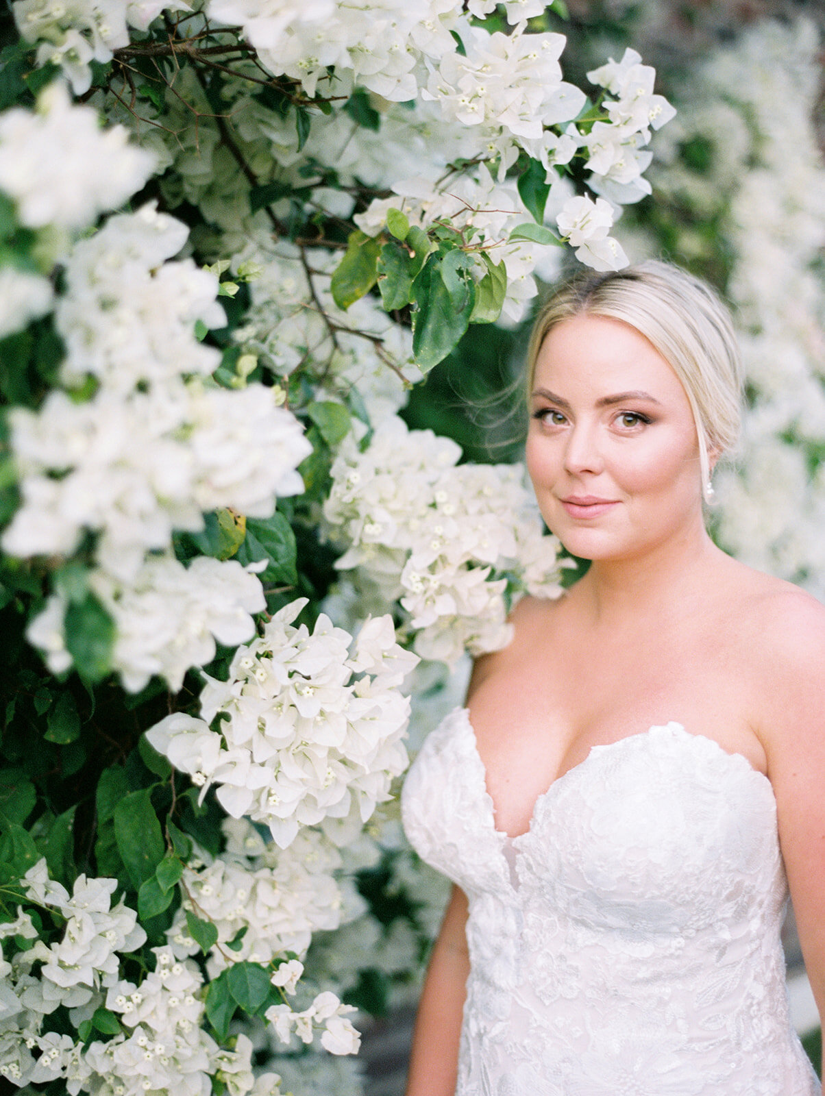 bougainvillea wedding flowers