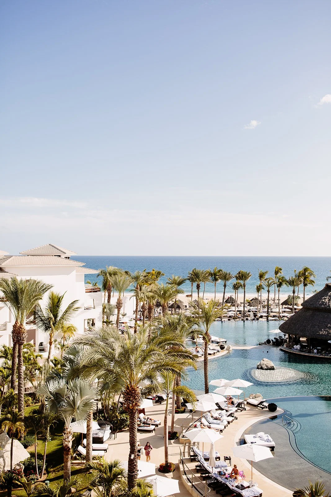 cabo azul wedding flora farms
