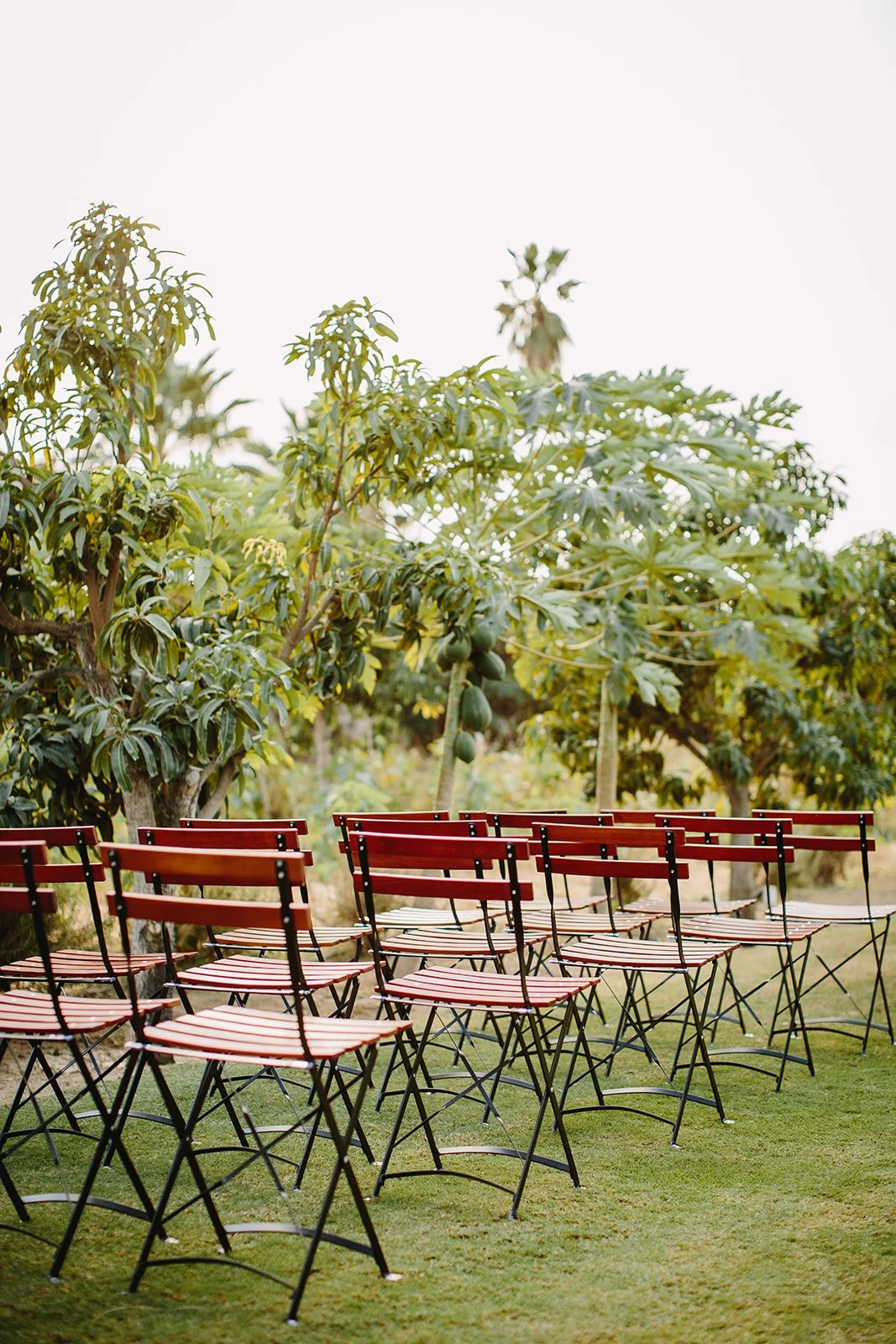 flora farms micro wedding
