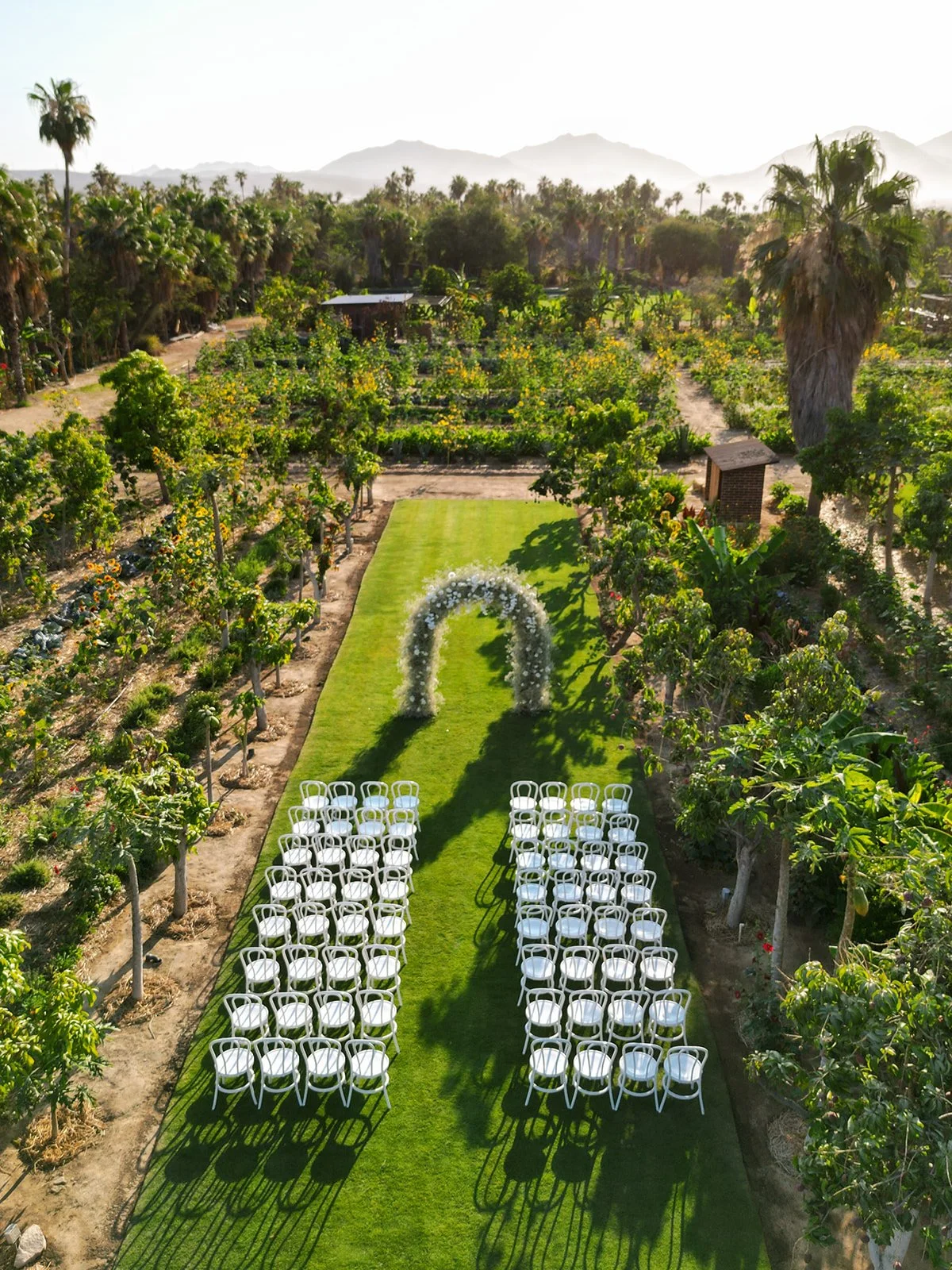 flora farms summer outdoor wedding