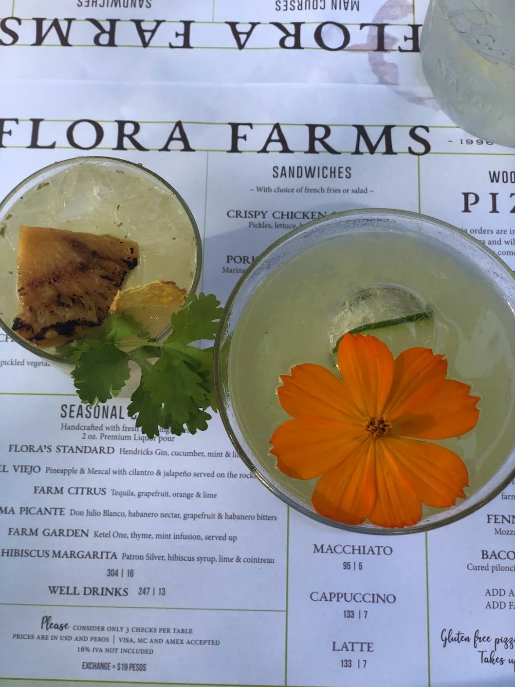 flora farms cabo girls trip