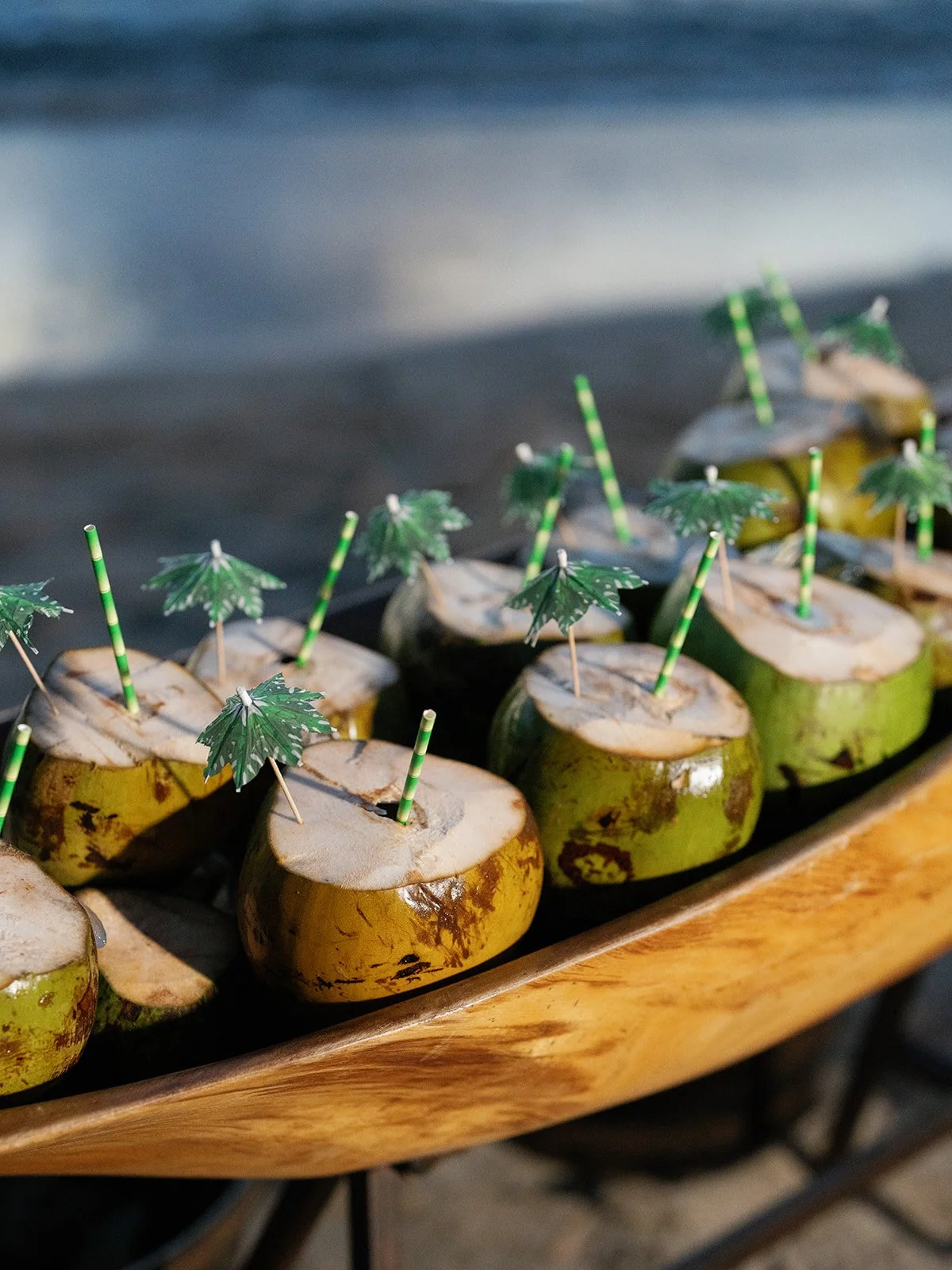 MS-S+K-RD Previews-31.jpg