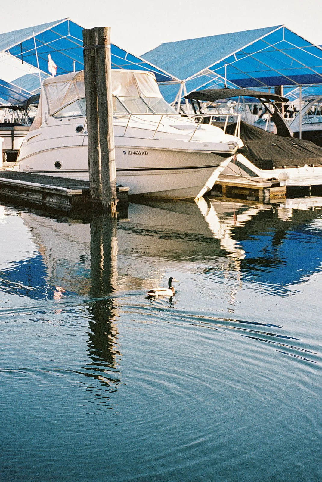 coeur d'alene lake resort wedding