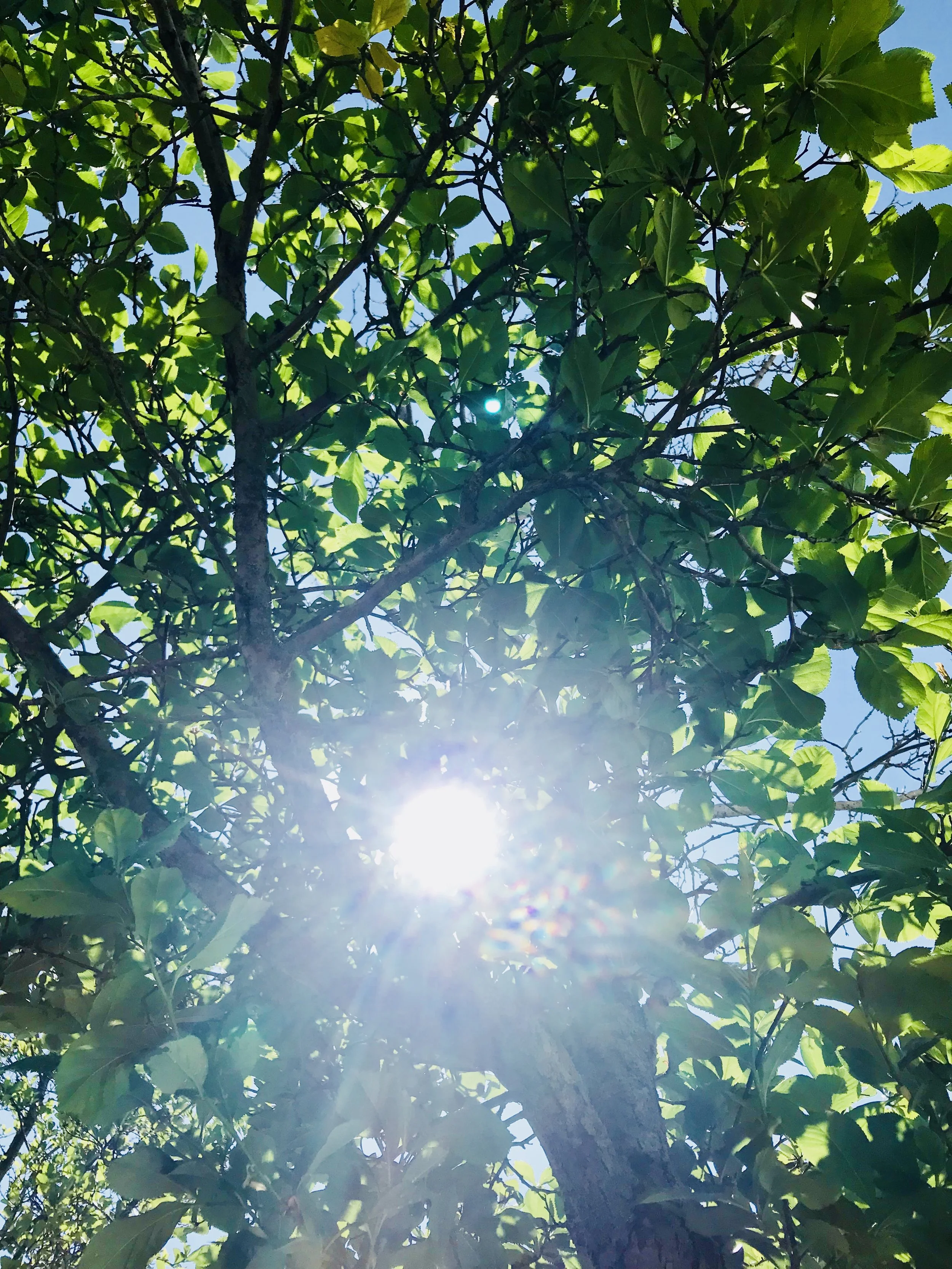 Lader du solen skinne på dine medarbejdere? Trives de og udvikles de?