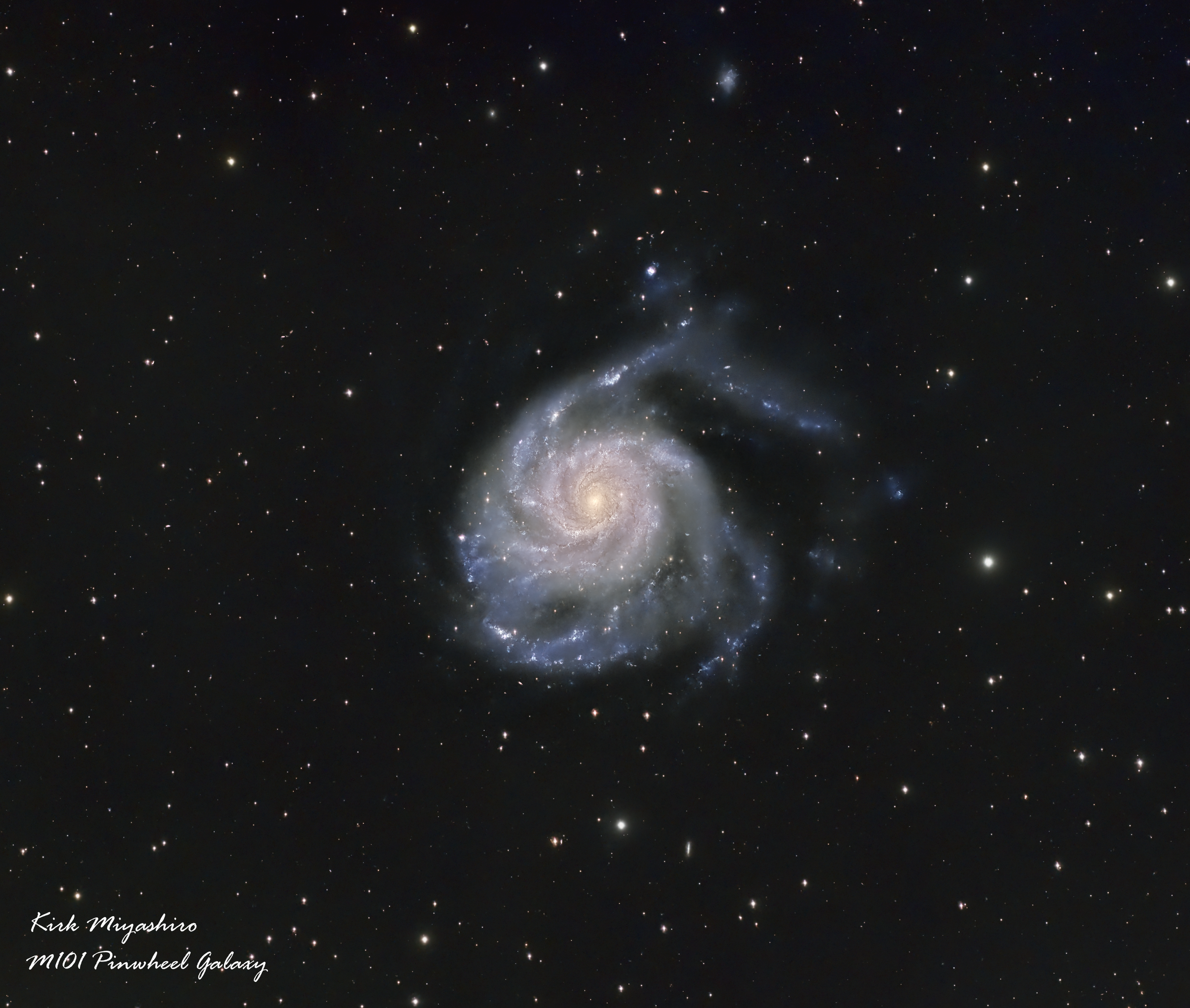 M101_Crop_ WA_v1.png