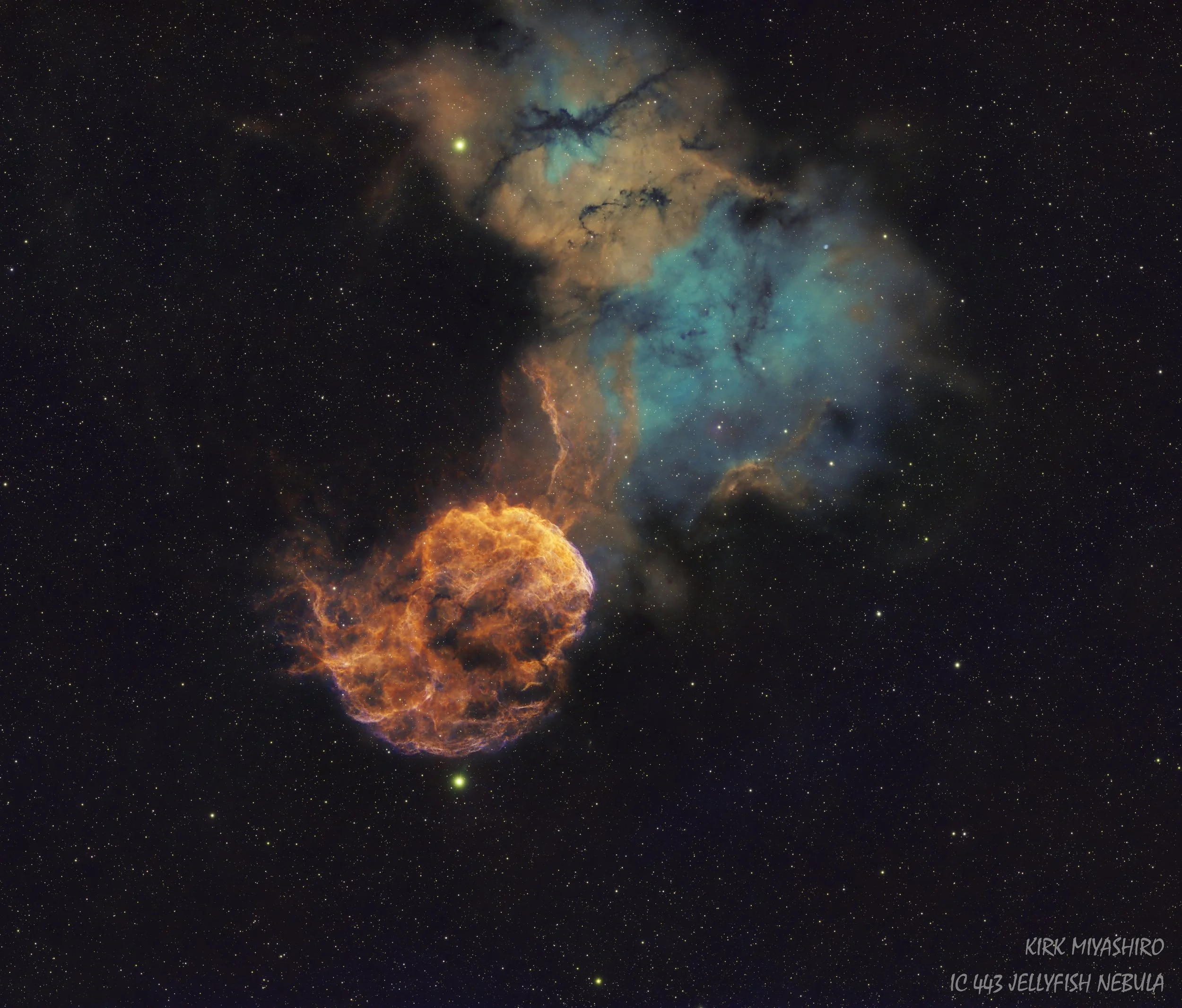 IC 443 V5.jpg