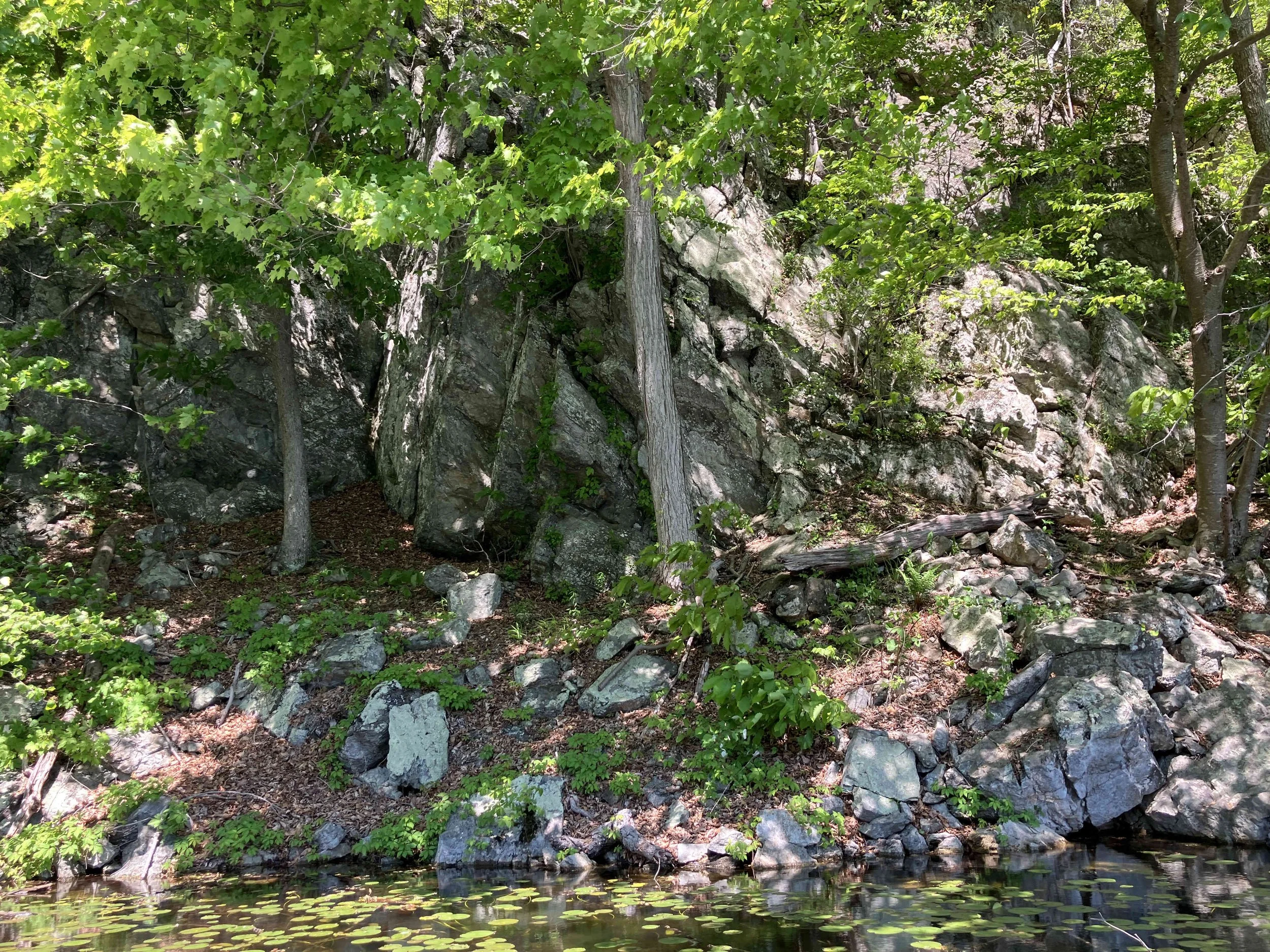 IMG_4592.JPG
