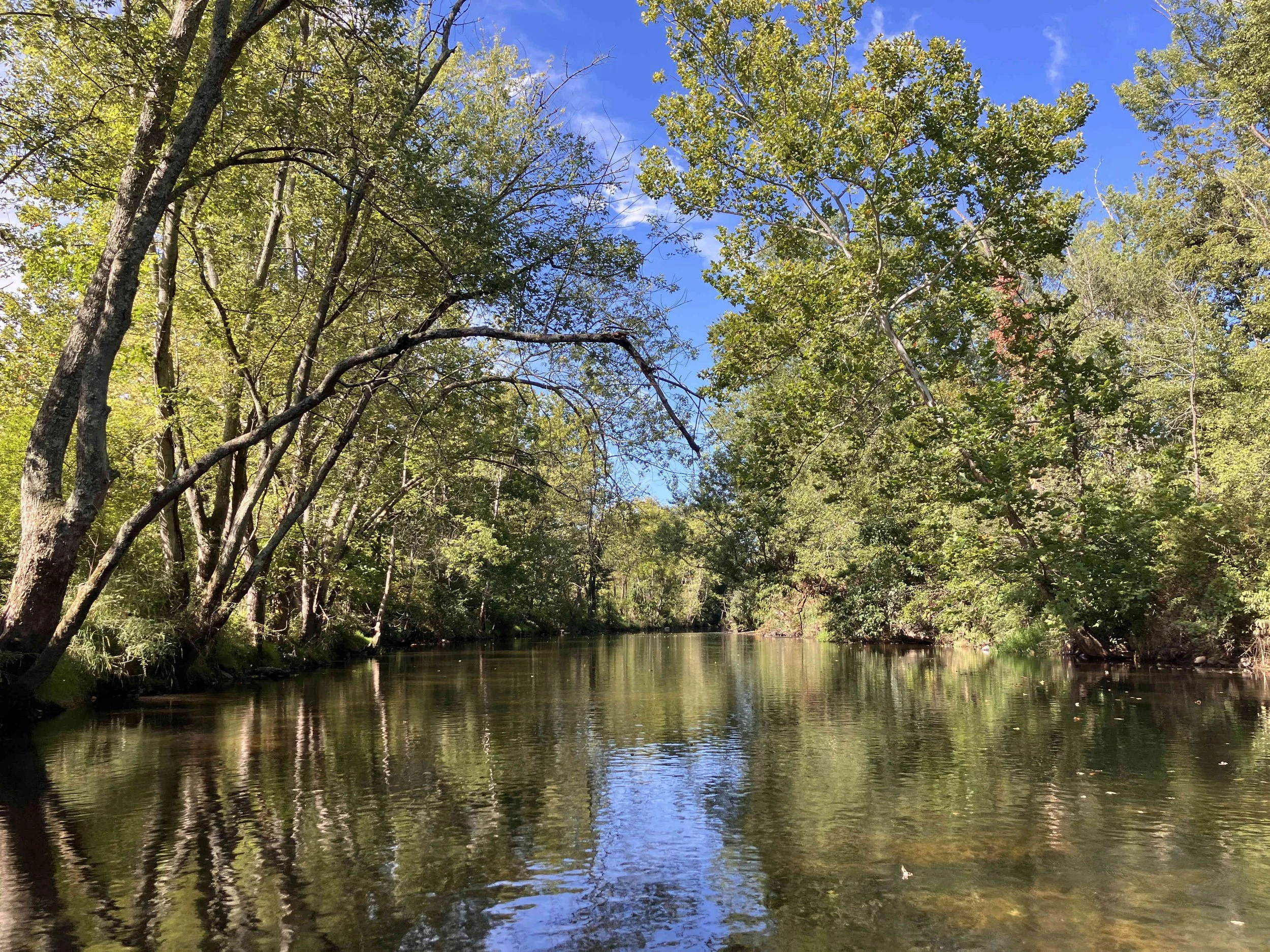 IMG_8442.JPG