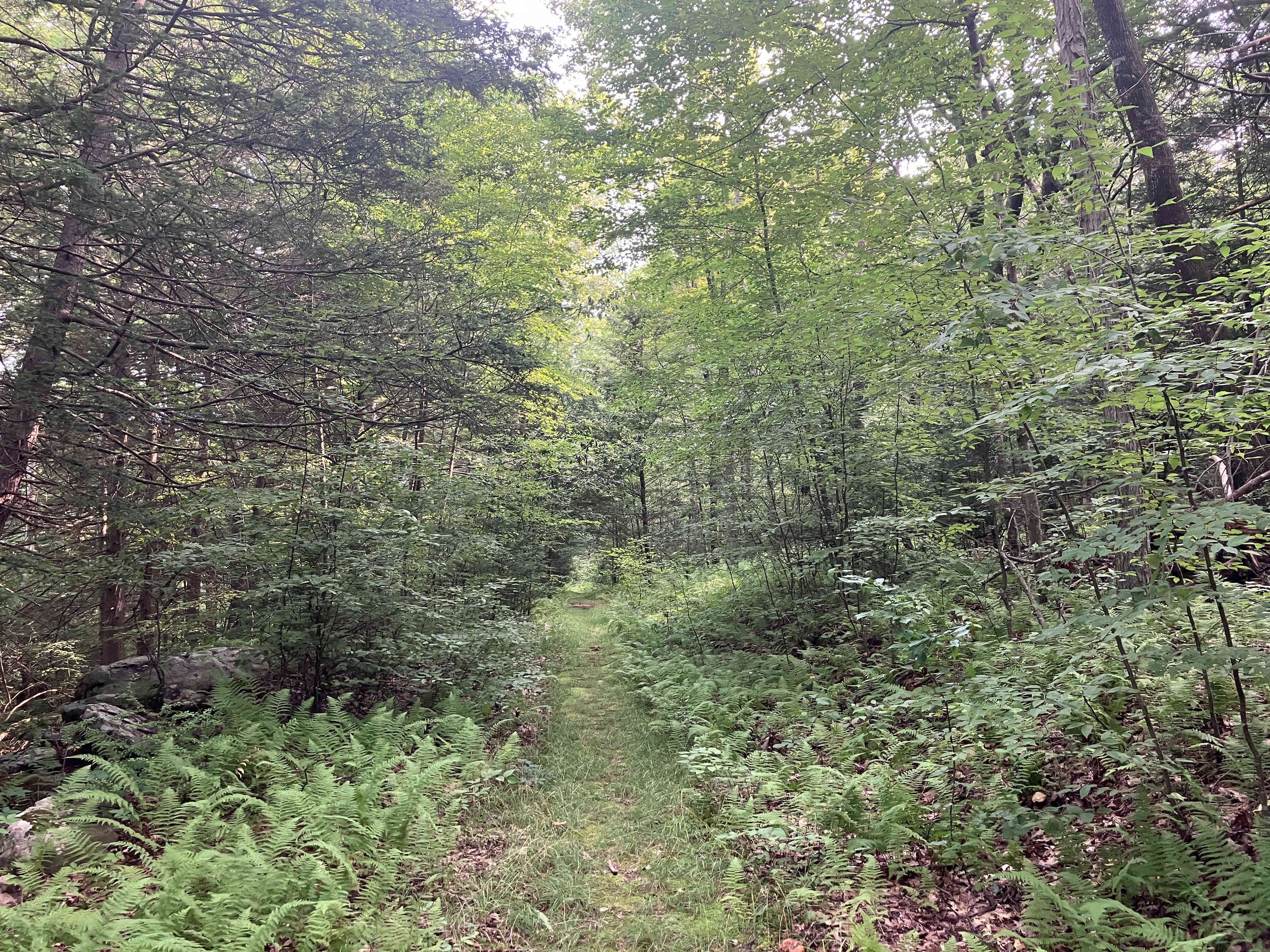 IMG_7405.JPG