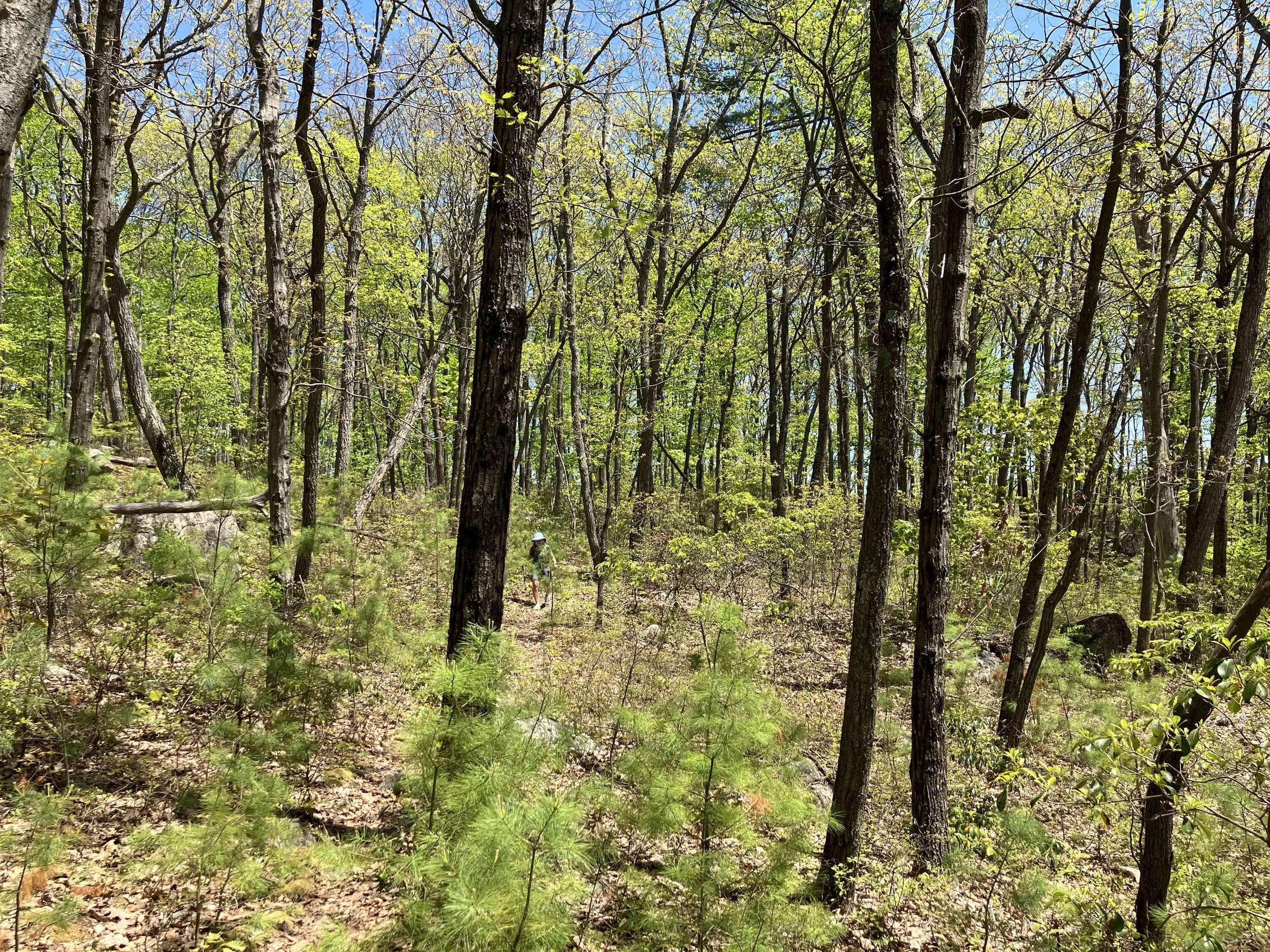 IMG_4811.JPG