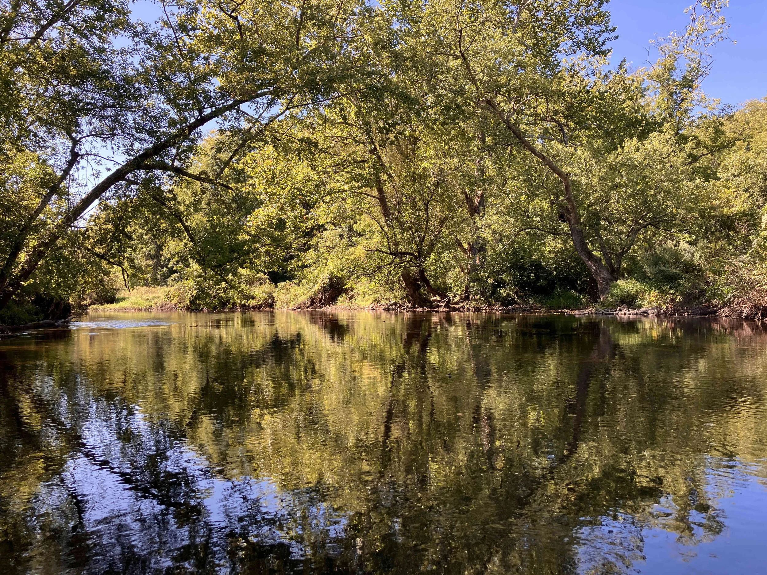 IMG_8736.JPG