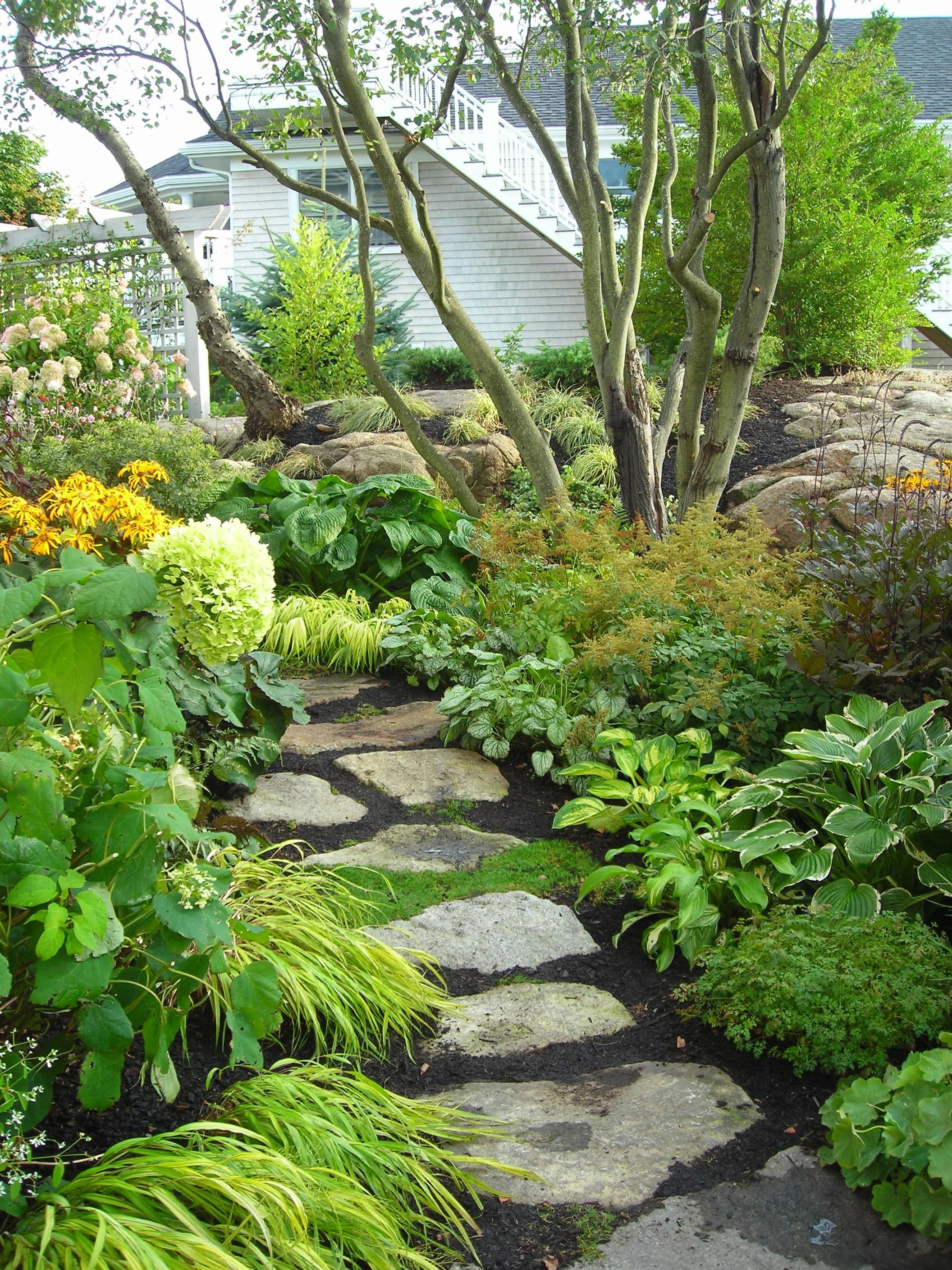 DSCN3846.JPG