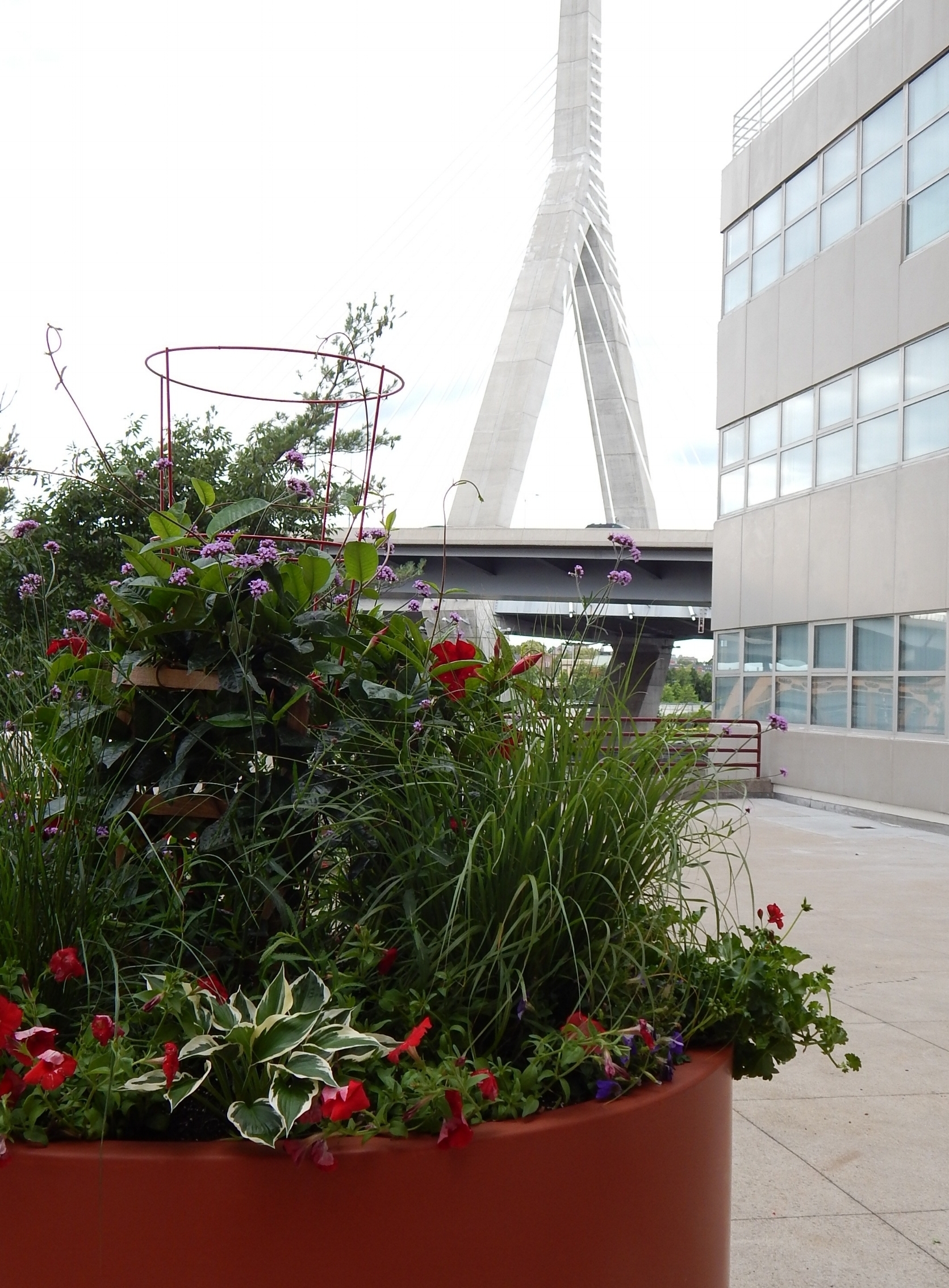 MGH Administrative Office Building, Boston, MA