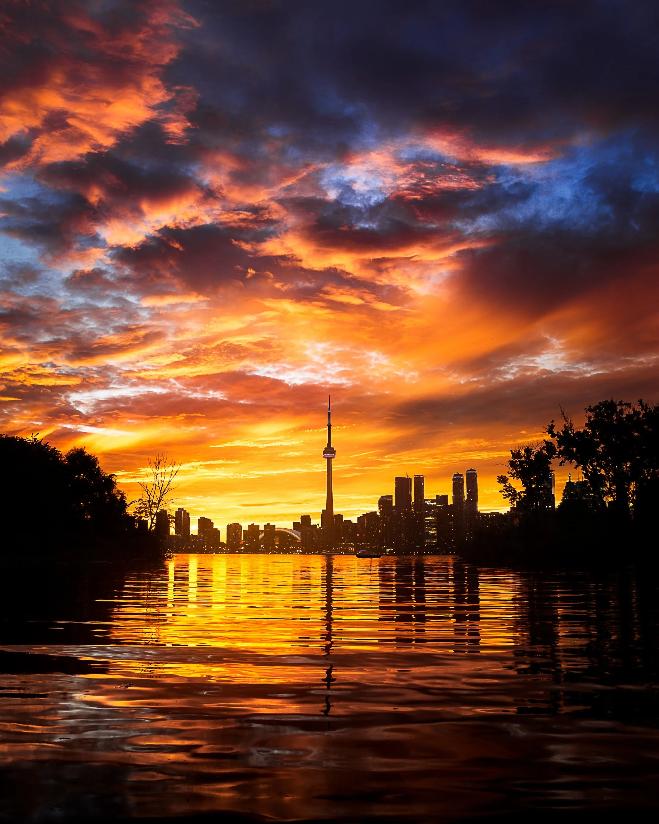 _MG_7718-Edit.jpg