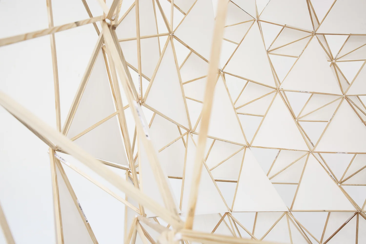 La belleza de los esqueletos de la arquitectura