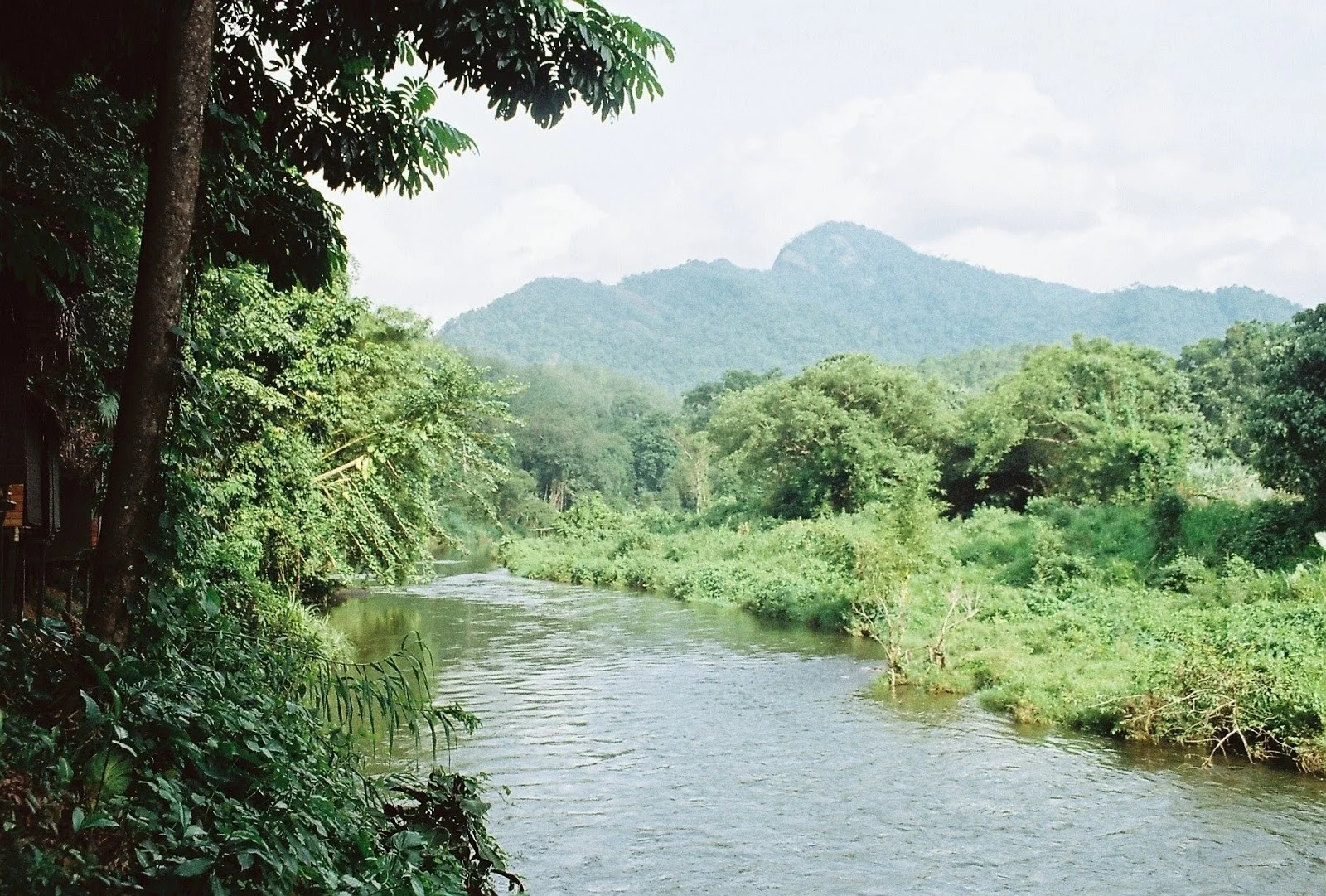 Kayaking in Sri Lanka, River Kelani