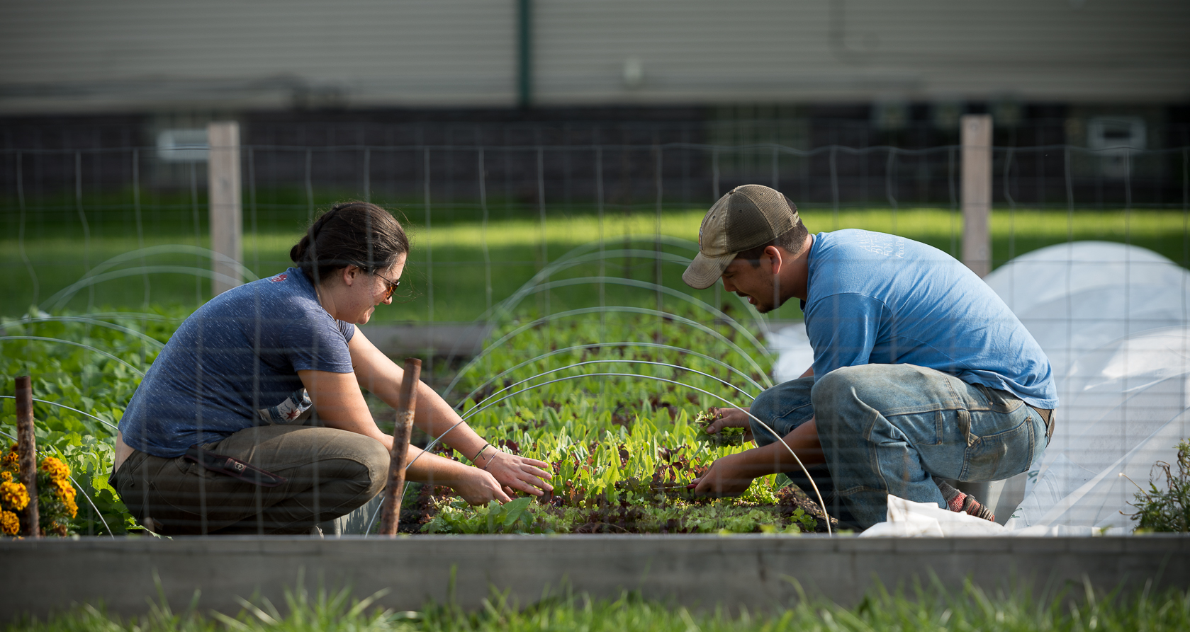 TBD-FisheyeFarms-Web-010.jpg