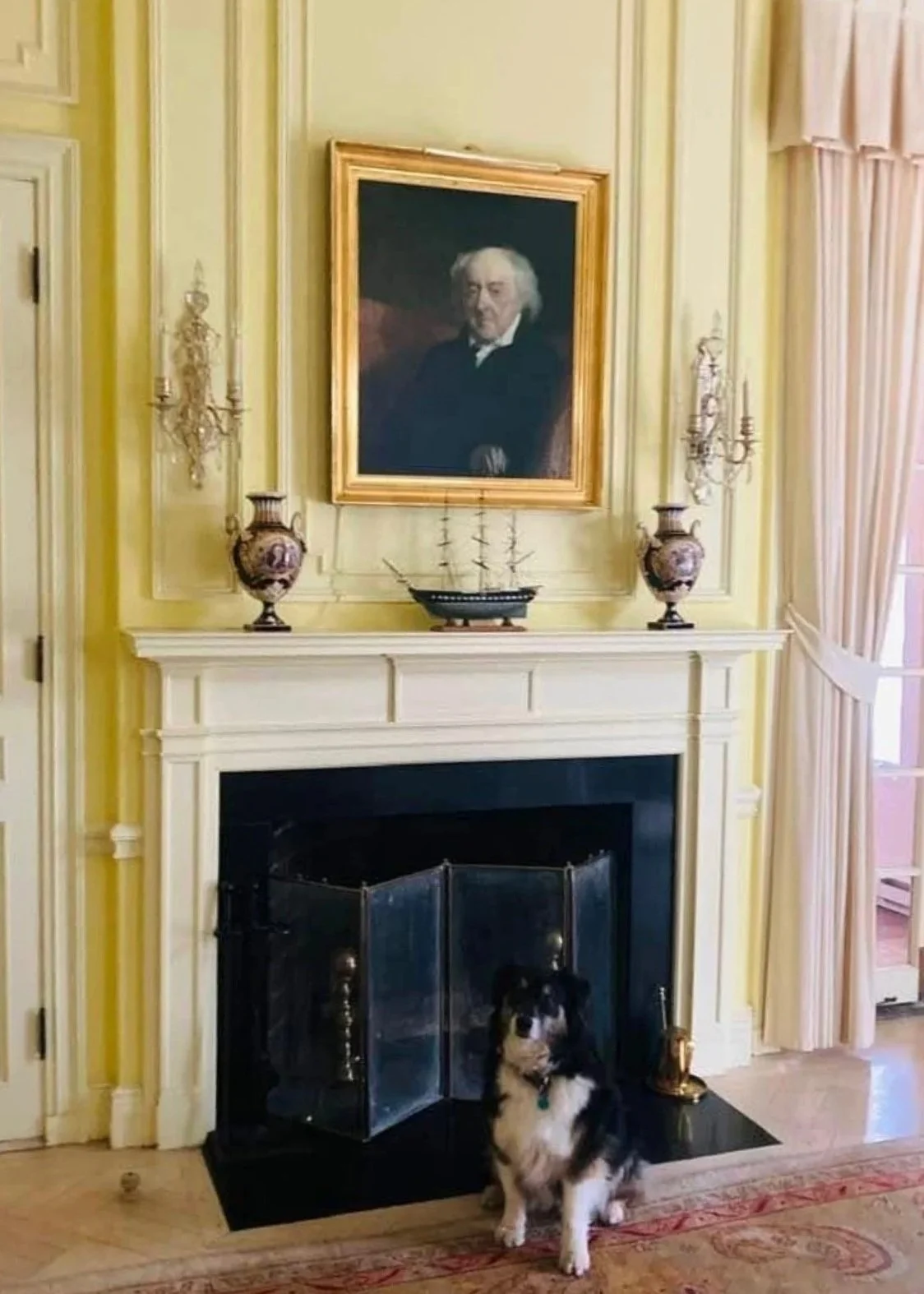 Bunny, Bill's dog, with a portrait of John Adams in the Adams' house. Bunny works with Bill, every day!
