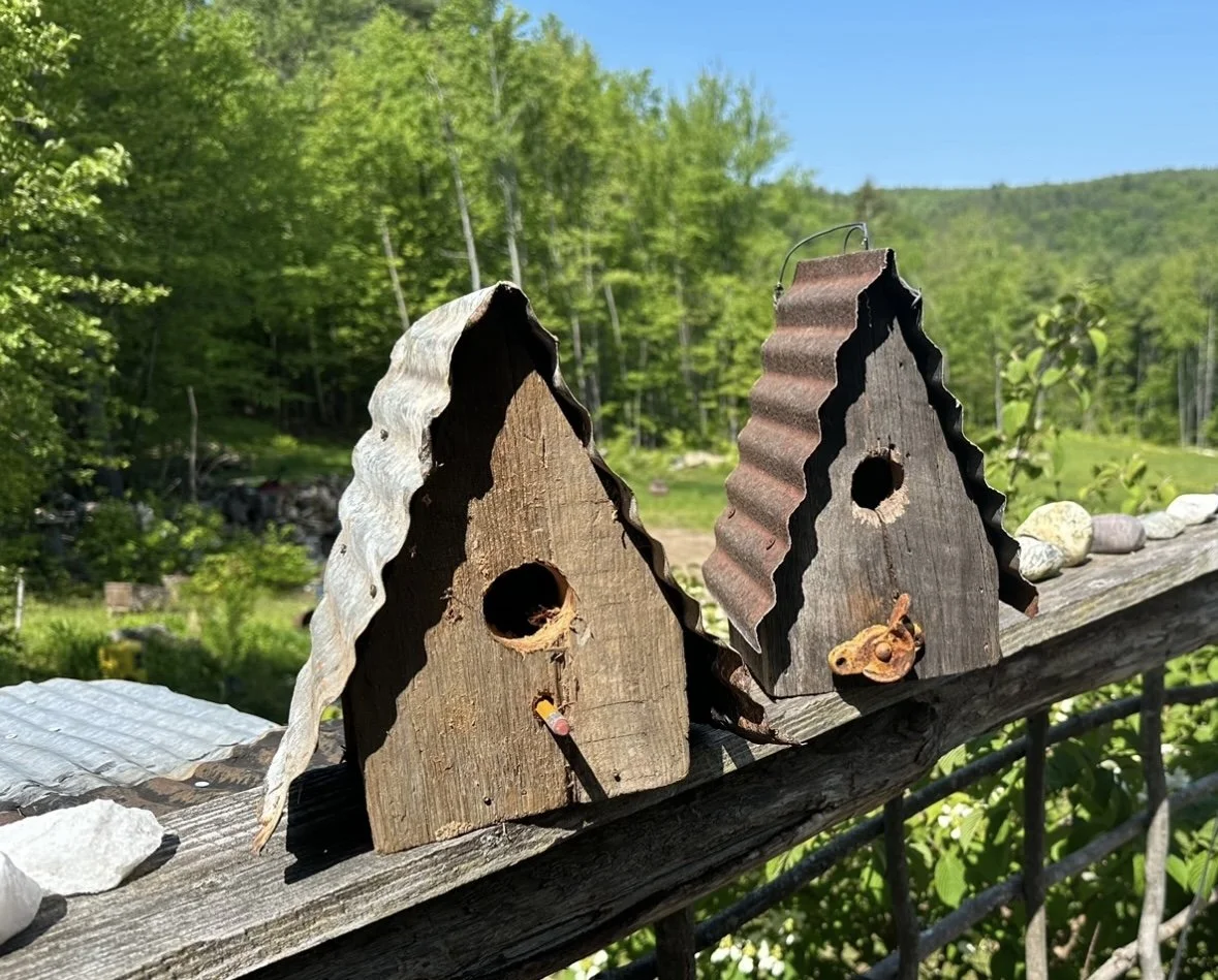 Bill builds birdhouses. Look closely and you'll see the Pencil purch and the old window lock purch