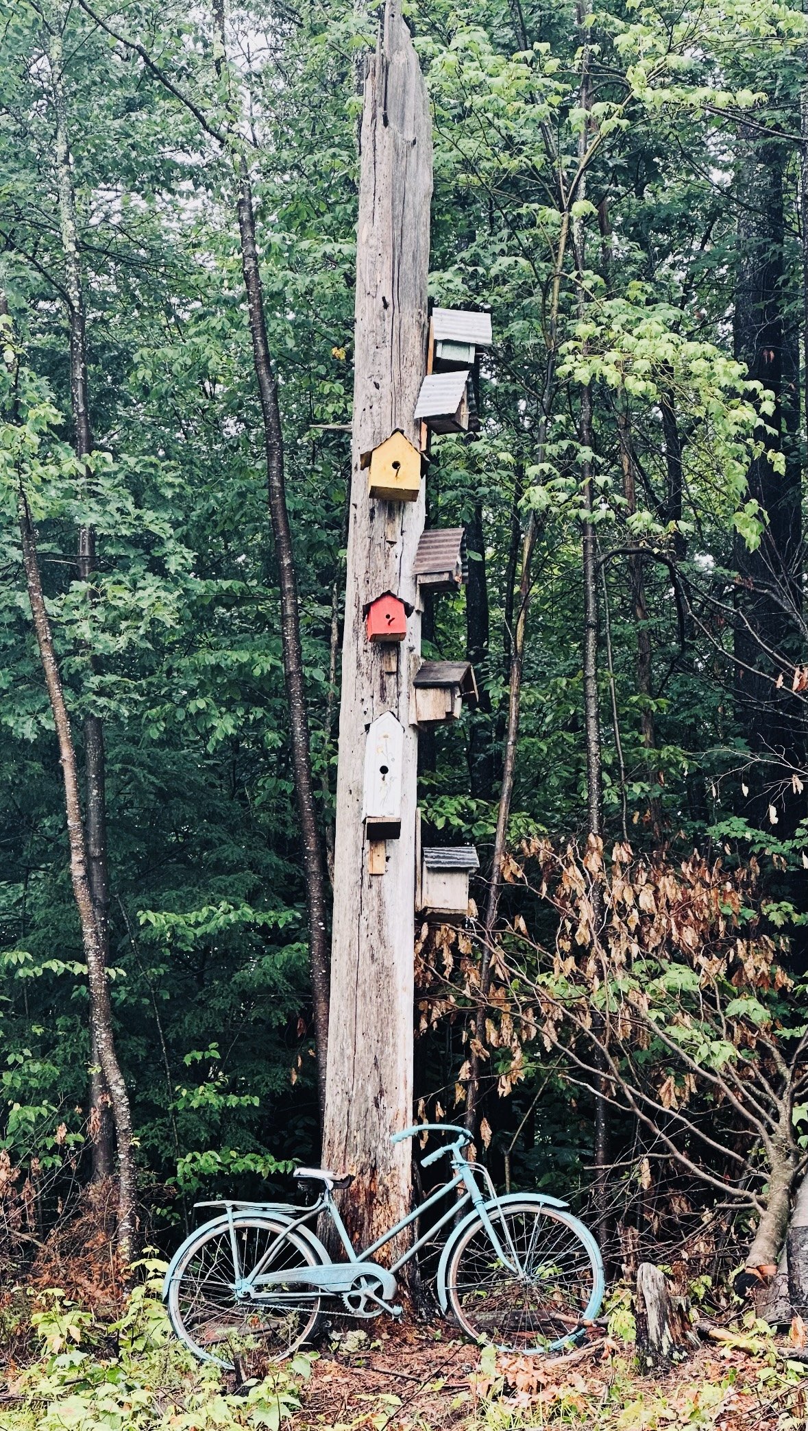 Birdhouses at Bill's Vermont Cabin